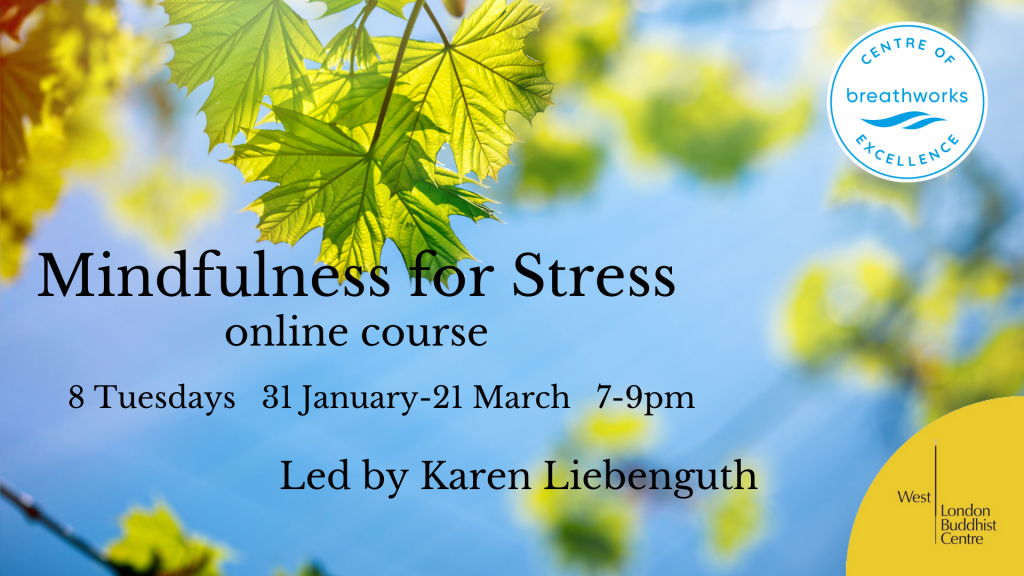 Mindfulness for Stress Course (online) - West London Buddhist ...